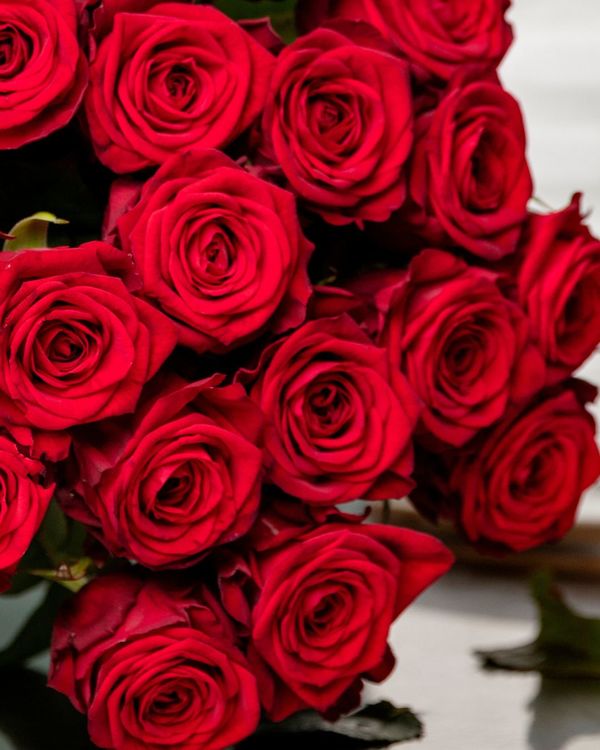THE BOUQUET OF RED NAOMI ROSES