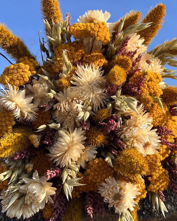 Dorado bouquet