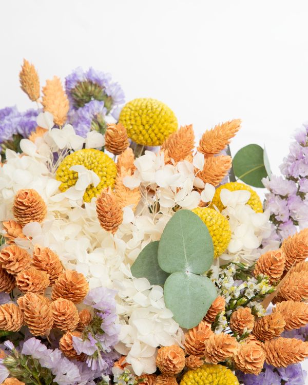 Bouquet Douceur Printanière  Fleurs séchées Rosa Cadaqués