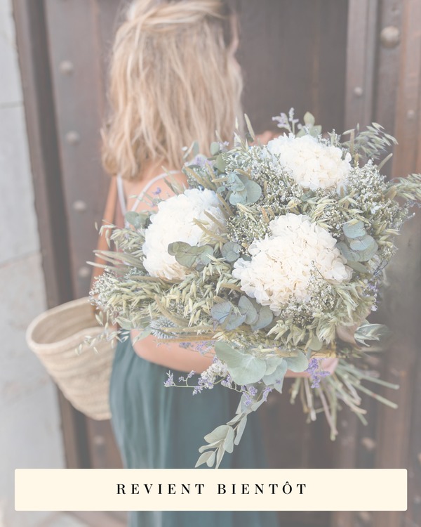 Bouquet Hortensia Blanc - Fleurs Séchées