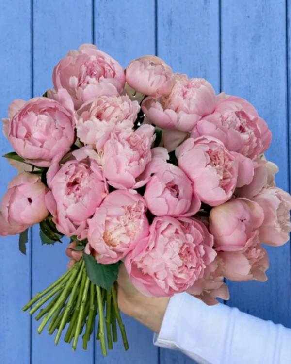Brassée Tendresse de Pivoines