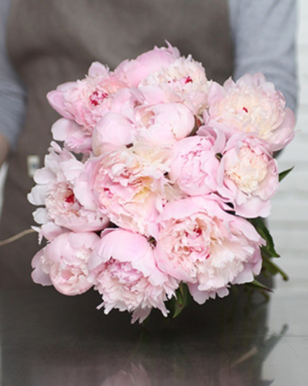 Coffret d’Exception : Pivoines & Bracelet 