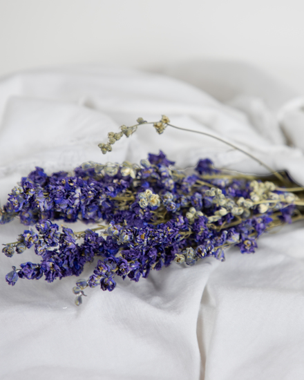 Delphinium blue