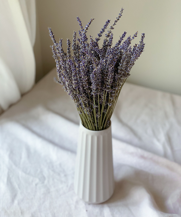 Lavanda seca