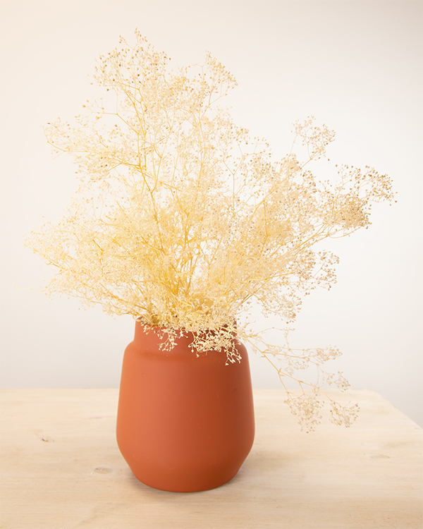 Small coral vase
