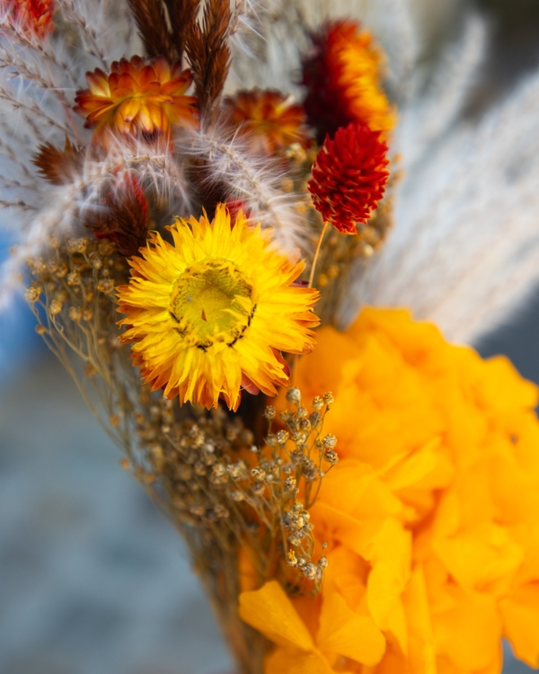 Sol Naranja Orange Dried Flower Bouquet with Vase Aquarelle