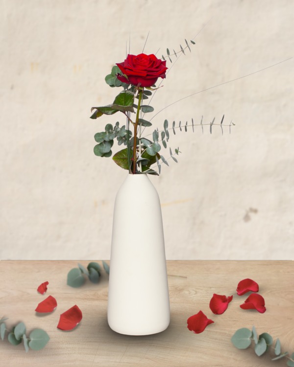 Soliflore Emotion – Rosa Roja y Eucalipto