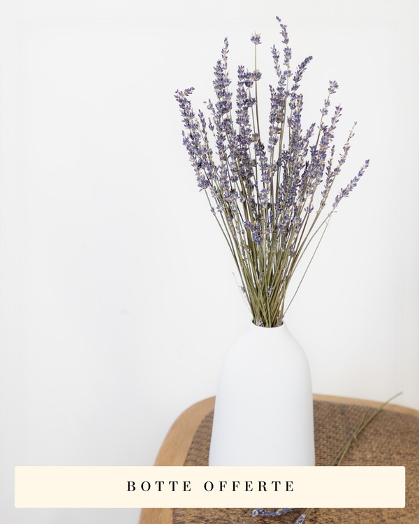 Tierra de Lavanda - Fleurs séchées