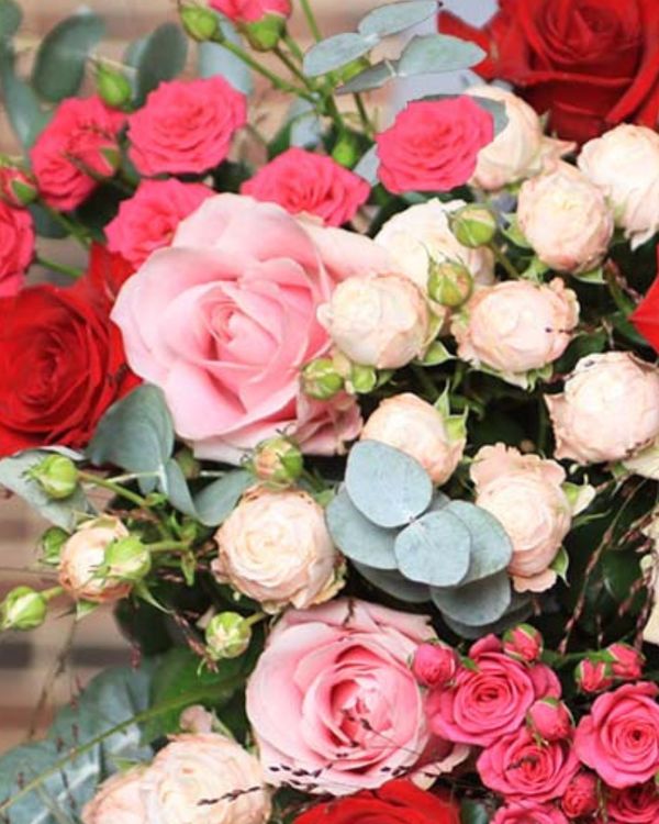 A ROMANTIC ARMY OF ROSES