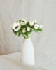 Anémones blanches Fleurs naturelles anémones blanches