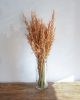 Avoine orange fleurs séchées Botte de fleurs séchées naturelles
