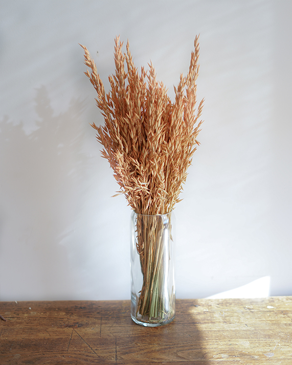 Avoine orange fleurs séchées Botte de fleurs séchées naturelles