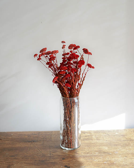 Botte achillée rouge fleurs séchées achillées rouges petites fleurs séchées