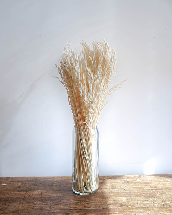 Botte fleurs séchées avoine Botte d'avoine blanche séchée