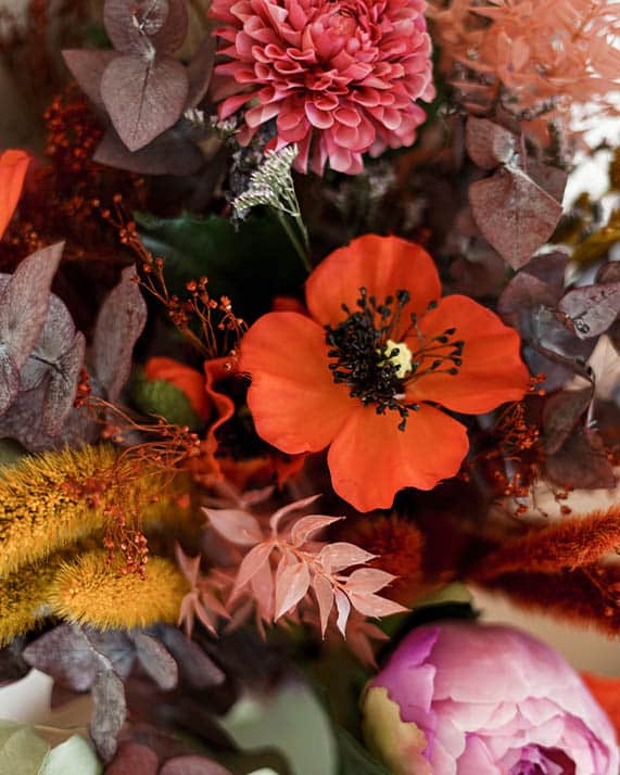 Bouquet de fleurs séchées 1 Bouquet de fleurs séchées 1