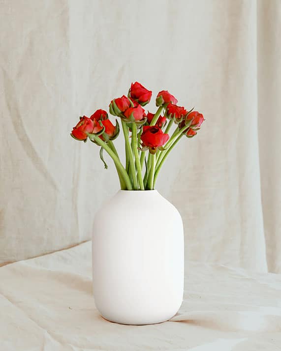 Bouquet renoncules rouges Rosa Cadaqués Fleurs naturelles renoncules rouges
