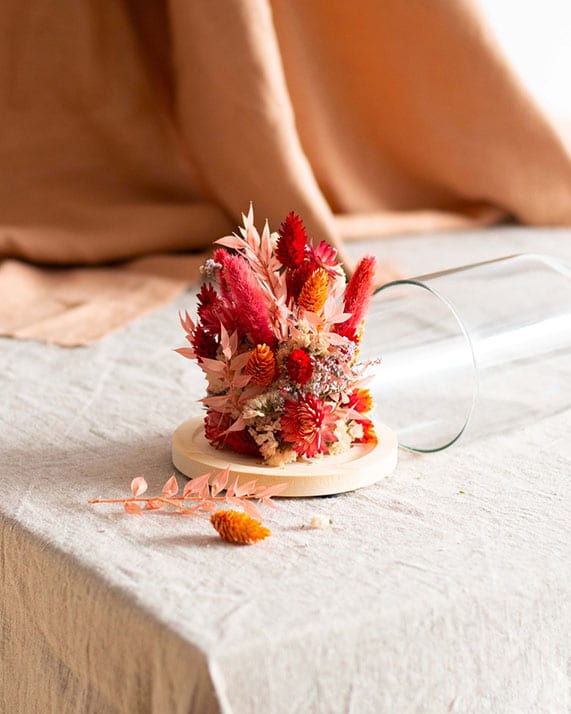 Cloche fleurs séchées Cloche fleurs séchées