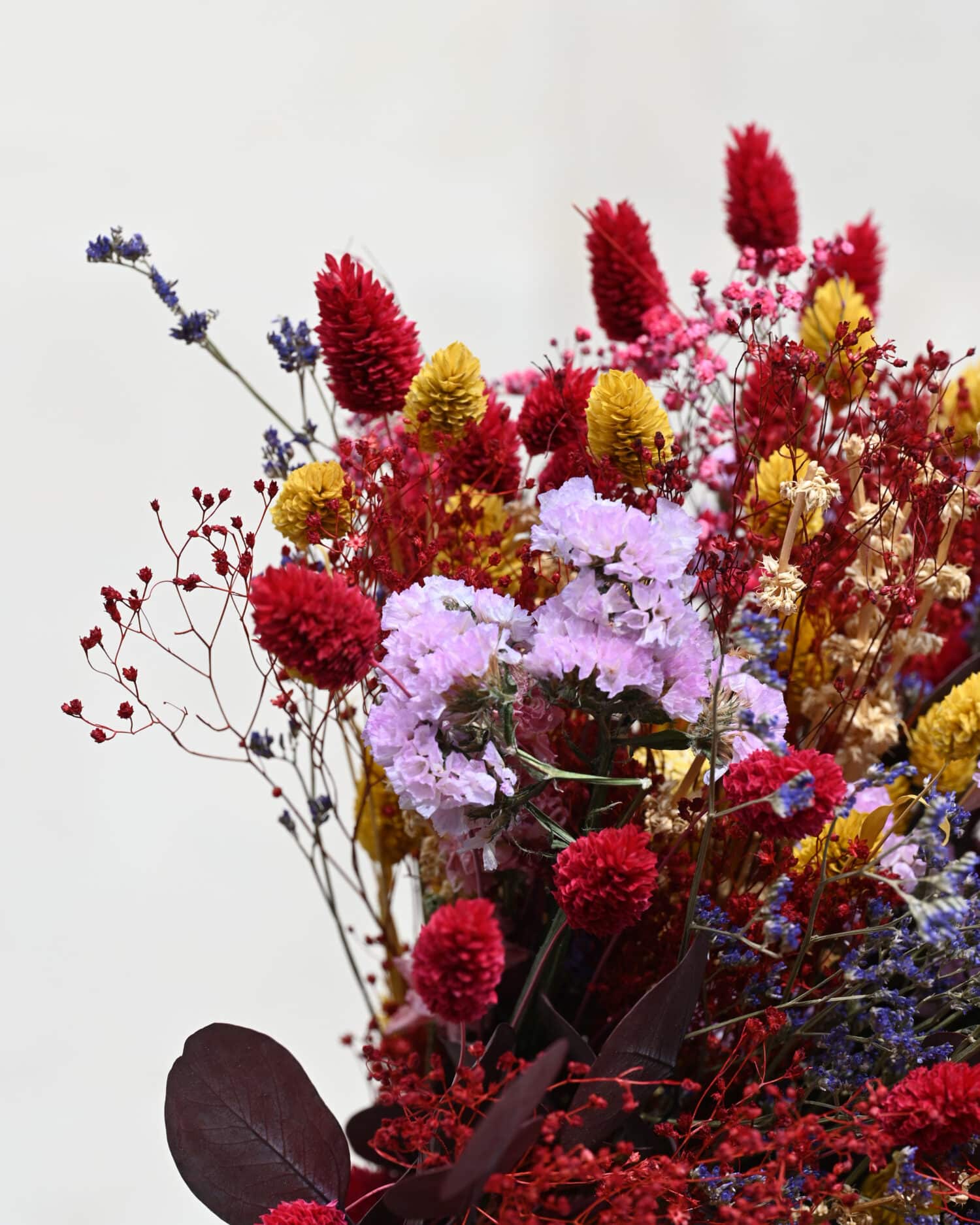 DSC_6196-def bouquet fleurs séchées - Calanans