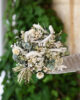 DSC_6231-def bouquet fleurs séchées - Tossa de mar