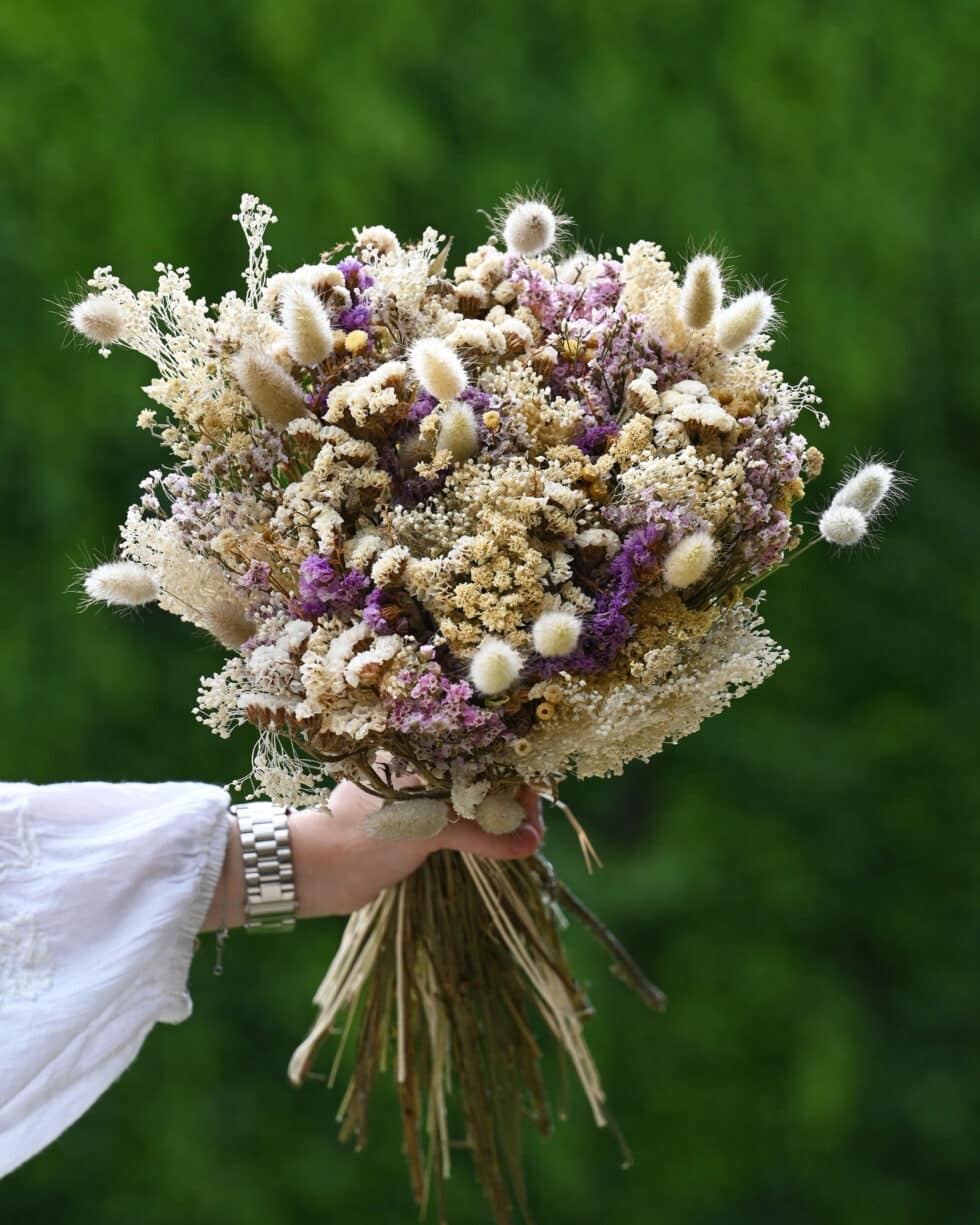 bouquet fleurs séchées - Calis