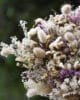 DSC_6411-def bouquet fleurs séchées - Calis