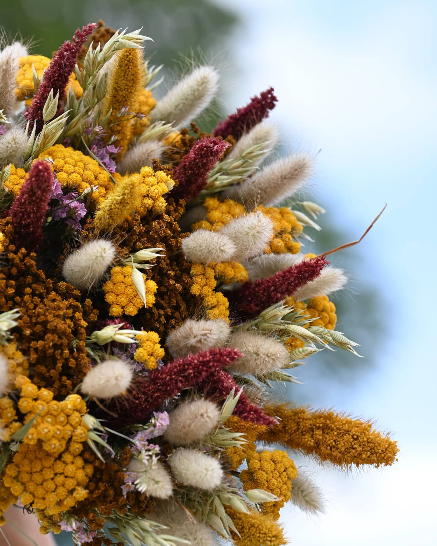 DSC_6557-def bouquet fleurs séchées - cala ferriol
