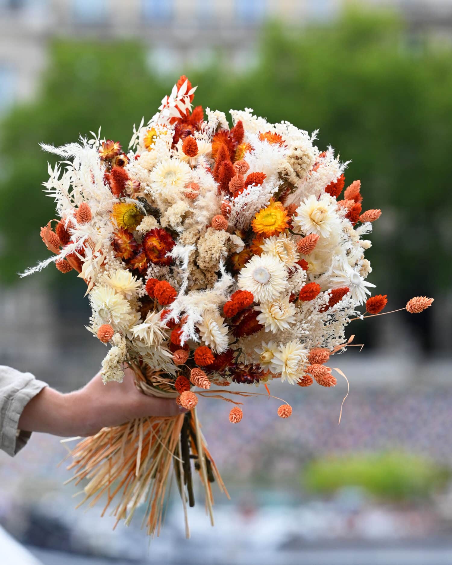 DSC_6617-def bouquet fleurs séchées - Port Lligat