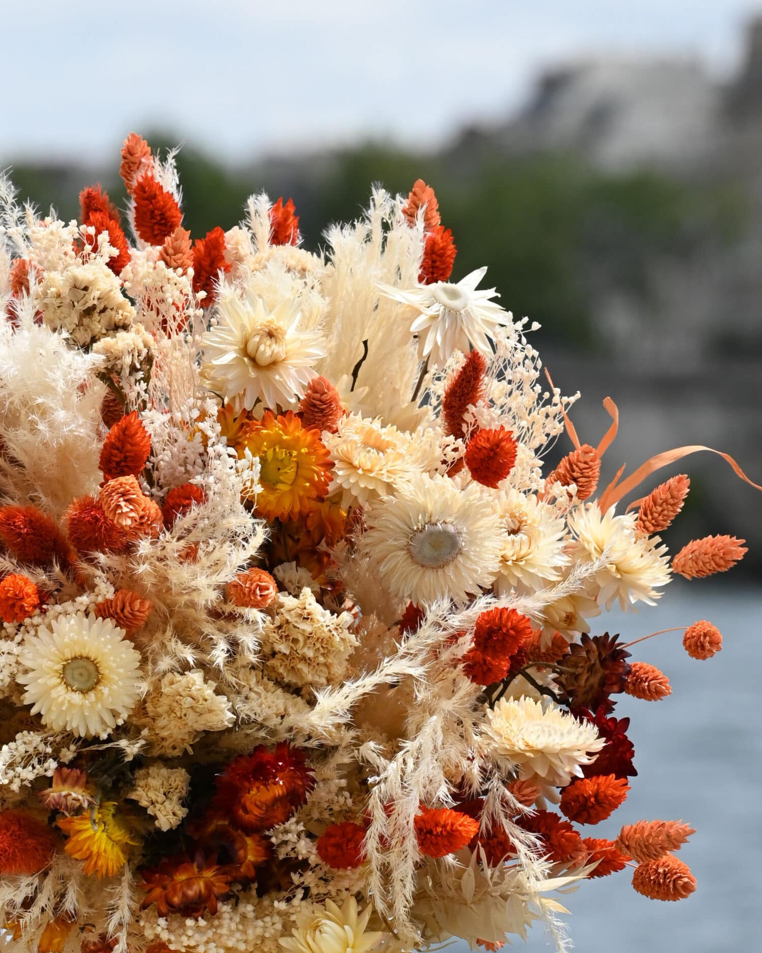 DSC_6646-def bouquet fleurs séchées - Port lligat