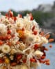 DSC_6646-def bouquet fleurs séchées - Port lligat