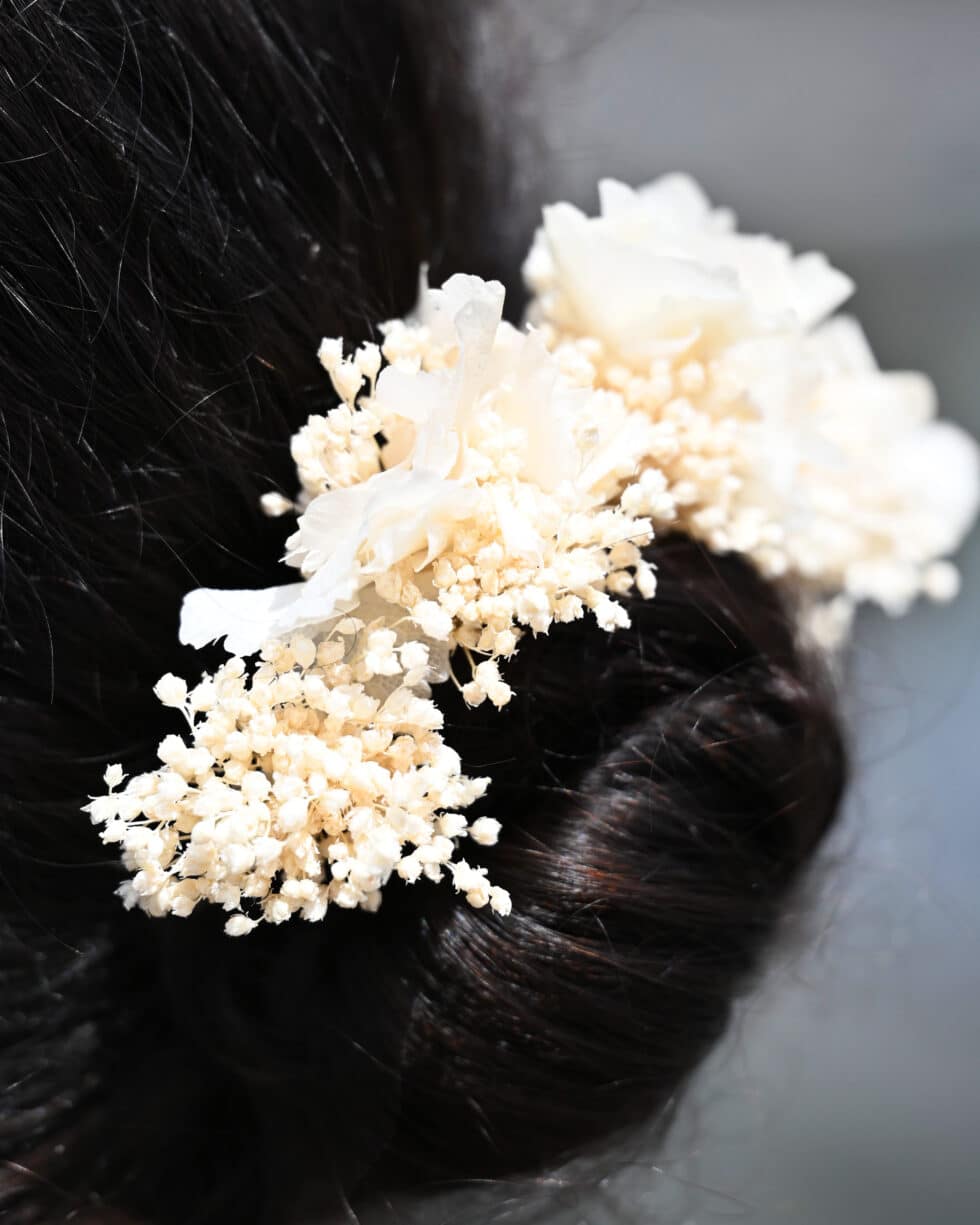 épingles à chignon Blanca