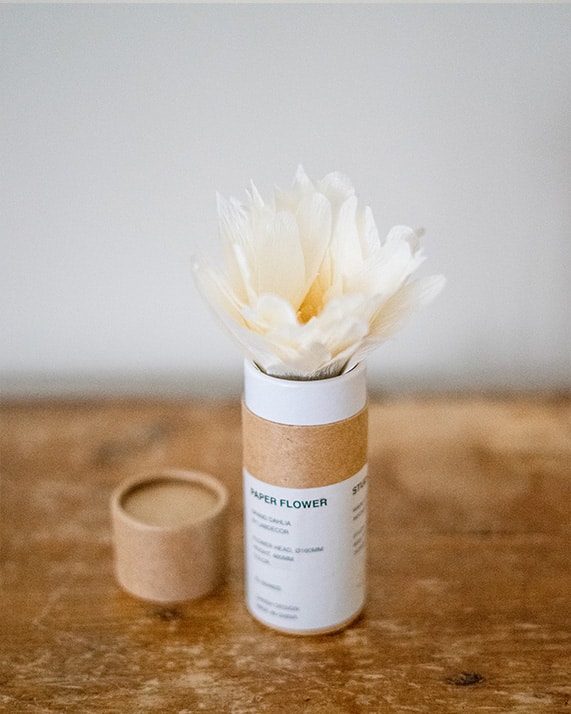Dahlia sand 1 fleurs en papier blanche
