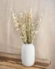 Delphinium blanc white delphinium