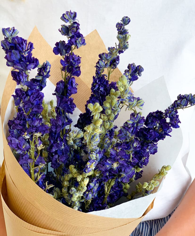 Delphinium-bleu-1 Botte de fleurs séchées rosa cadaques delphinium bleu
