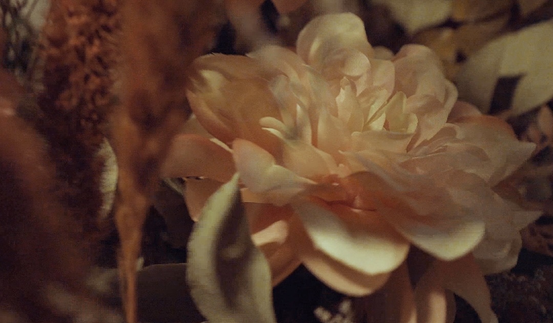 Fleurs 1