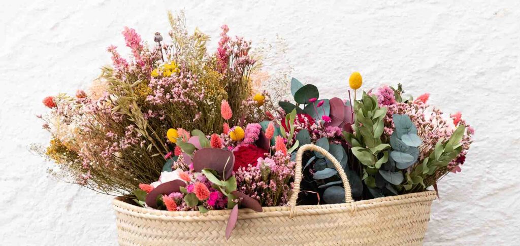 Fleurs séchées Les plus belles fleurs séchées