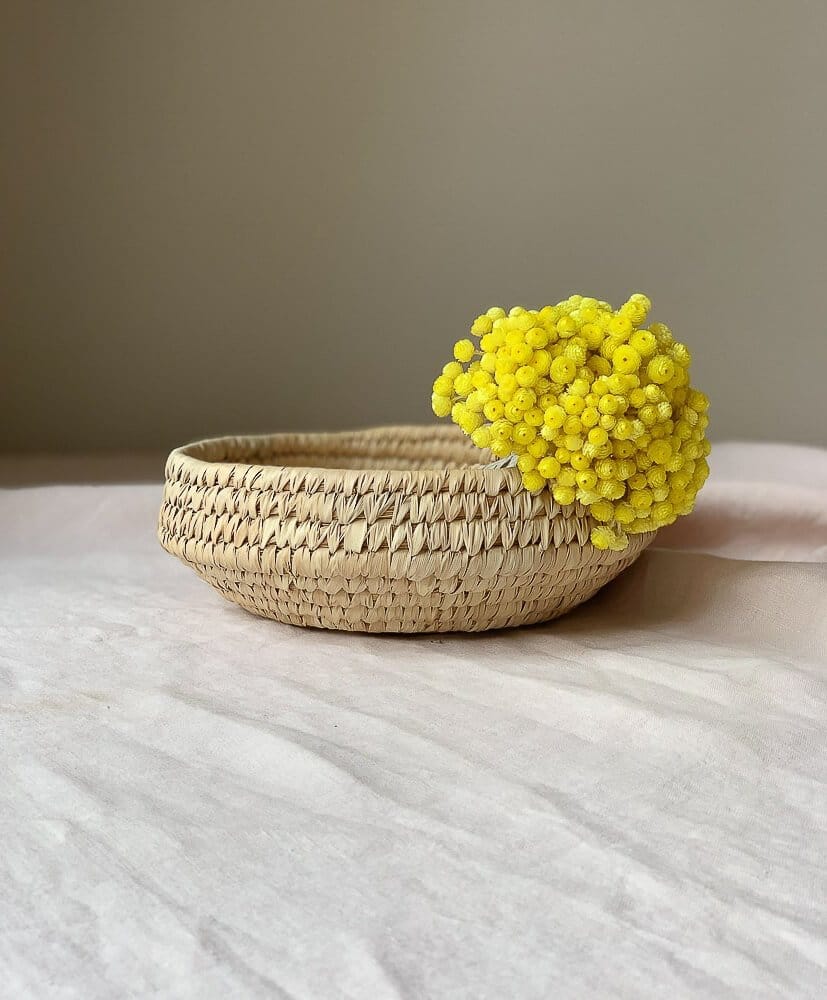 Ramo de siemprevivas - Ramo de siemprevivas -