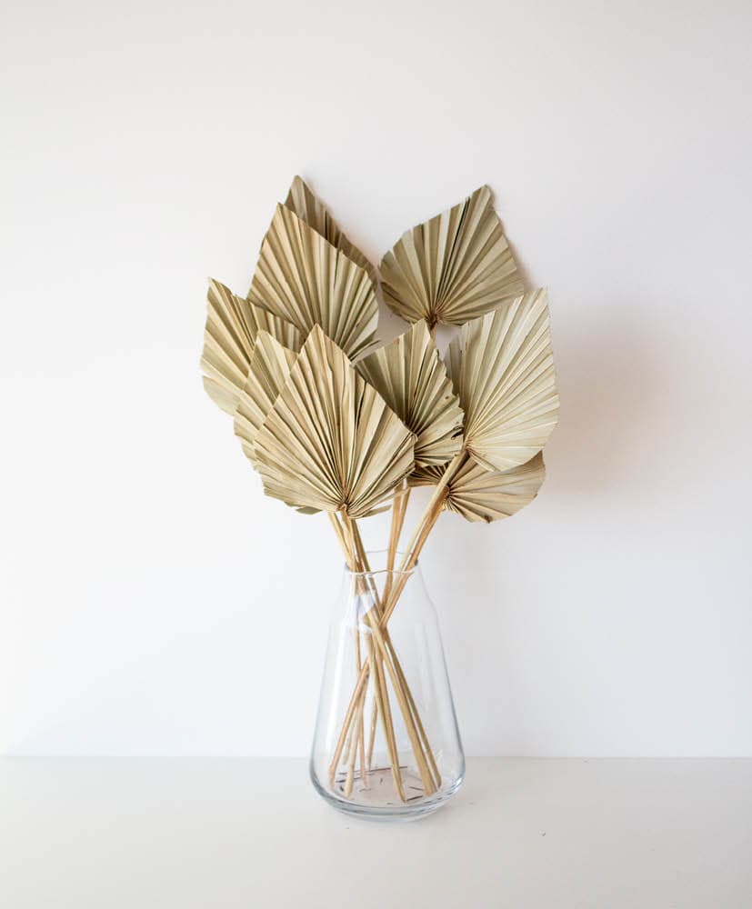 Palmes naturelles exposée dans un vase