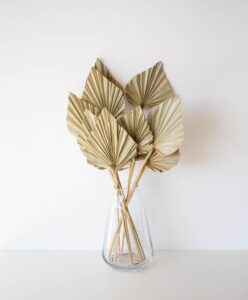 Palmes-Naturelles Palmes-Naturelles