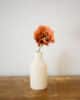Poppy dark ochkra 2 fleurs en papier