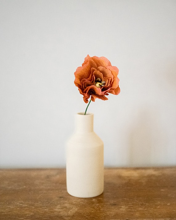 Poppy dark ochkra 2 fleurs en papier