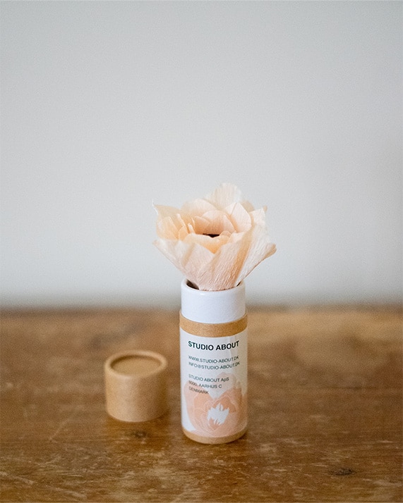 Poppy nude 1 fleurs en papier