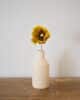 Poppy ochkra 2 fleurs en papier