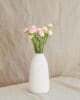 Renoncules roses clair Fleurs naturelles renoncules roses
