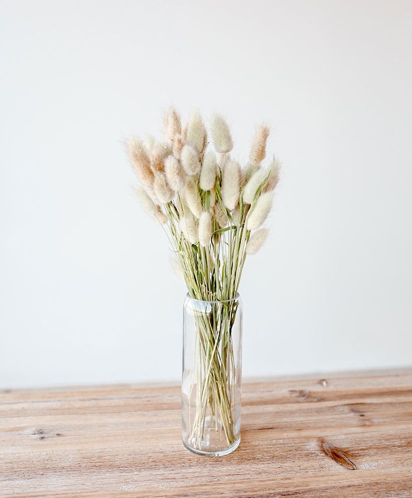 VaseQdebouteilletransparent Vase transparent bouteille