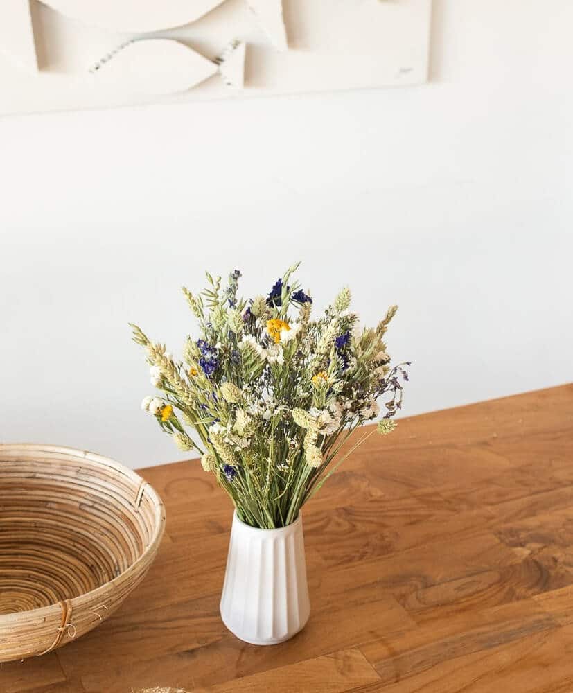 Ramo Cadaqués - Medio Ramo Cadaqués - Medio