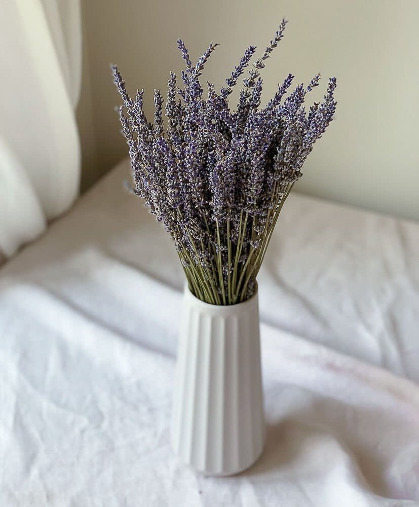 Bouquet of lavender -