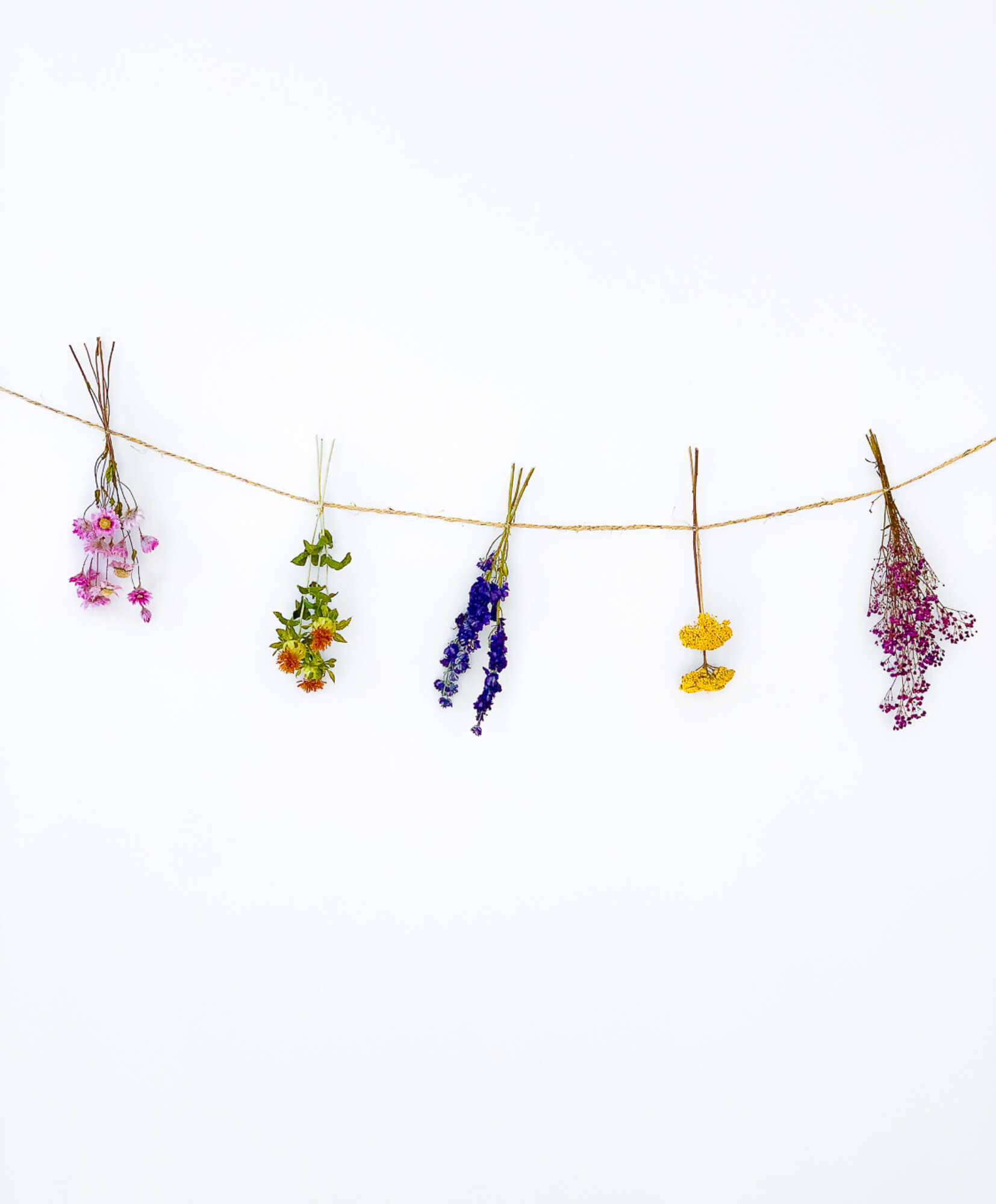 guirlande en fleurs séchées Rosa cadaques