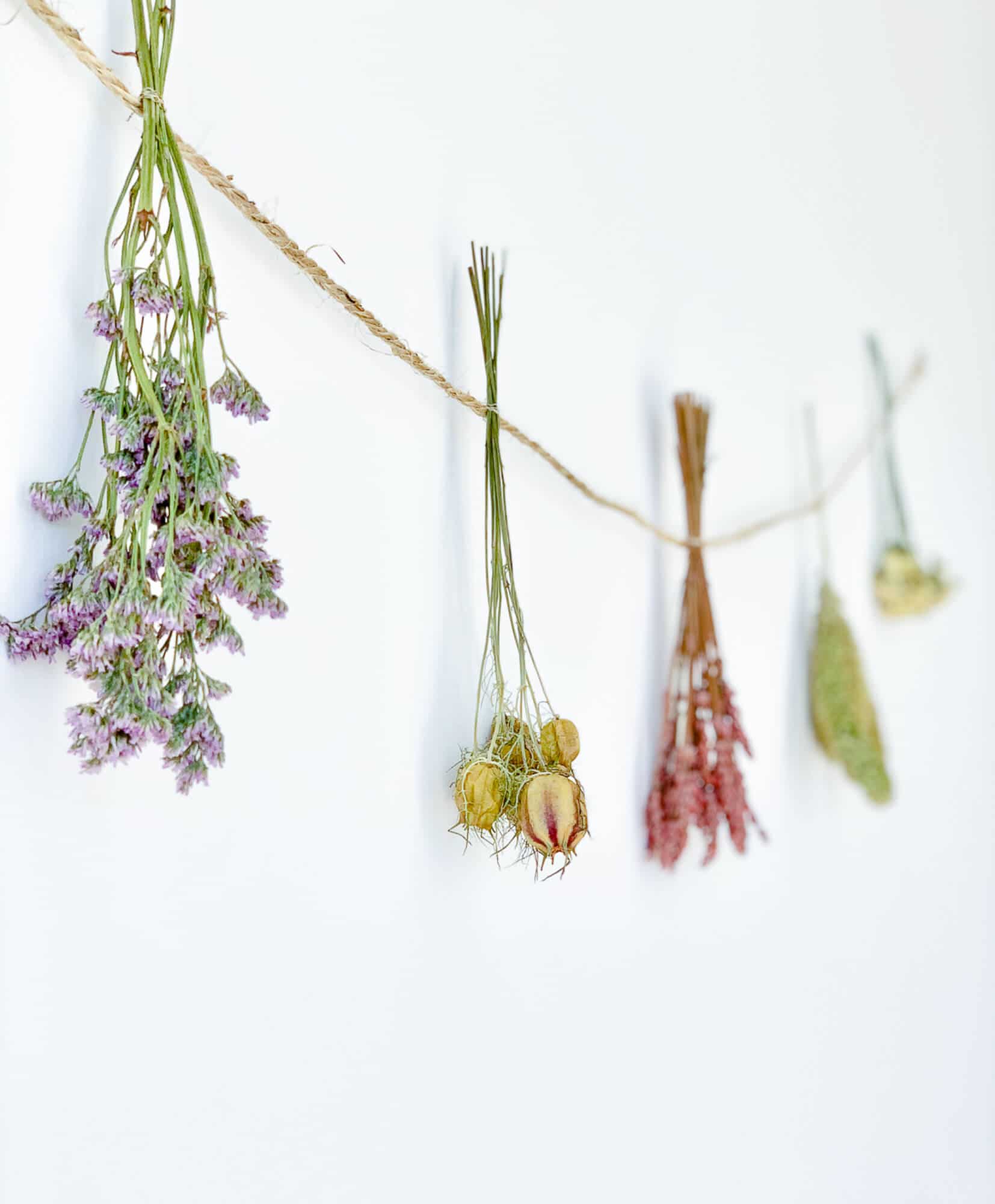 Guirlande fleurs séchées Pablo