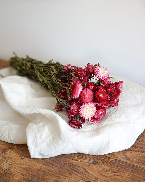 Botte de fleurs séchées naturelles