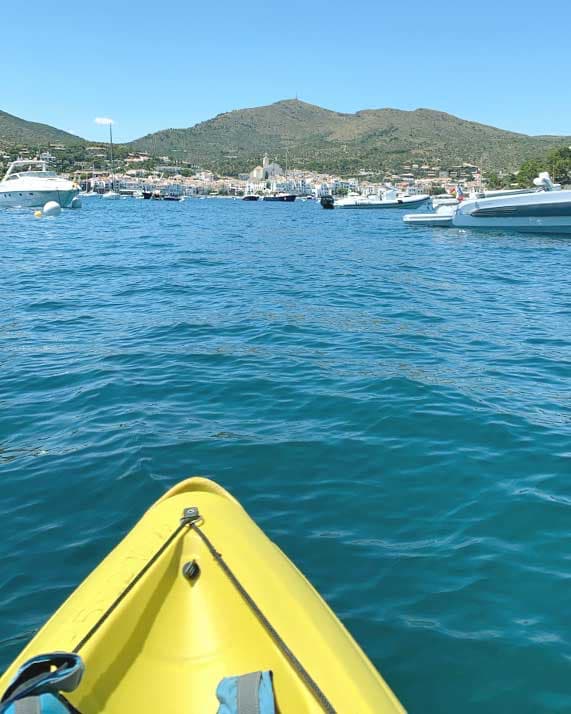 Rosa Cadaqués KAYAK fleurs séchées